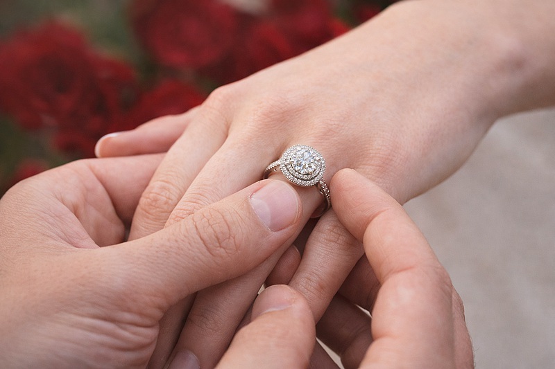 Bague halo en diamant offerte lors d'une demande en mariage romantique.